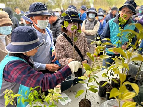 觀賞樹木|臺灣原生樹木推廣及媒合平臺